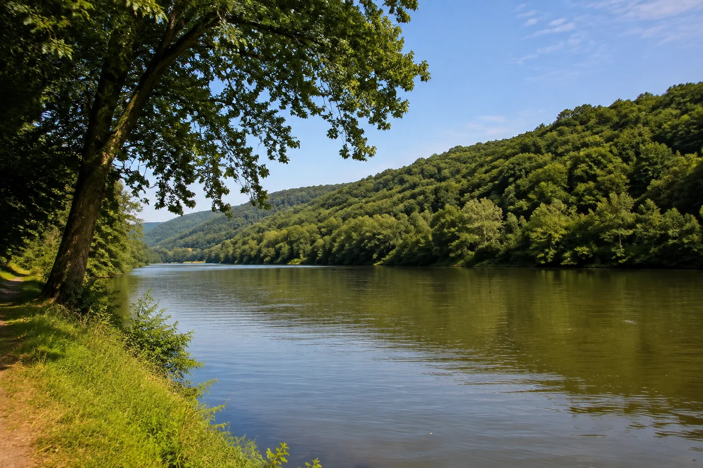 Neckarsteinach: Neckarsteinach Bahnhof Nord: Ruhiger breiter Neckar östlich von Neckarsteinach, Laubbaum am Ufer und vollständig bewaldeter Gegenhang, ohne Brücke, Burgen oder Fähre.