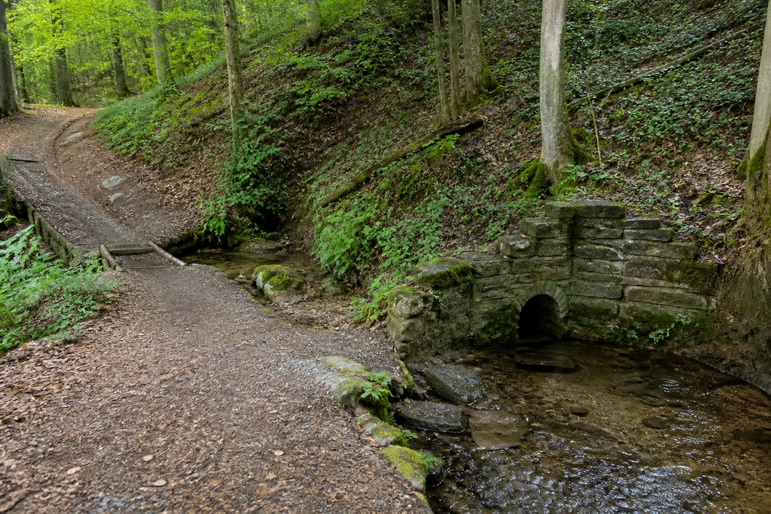 Waldpfad am Grünen Pütz bei Nettersheim