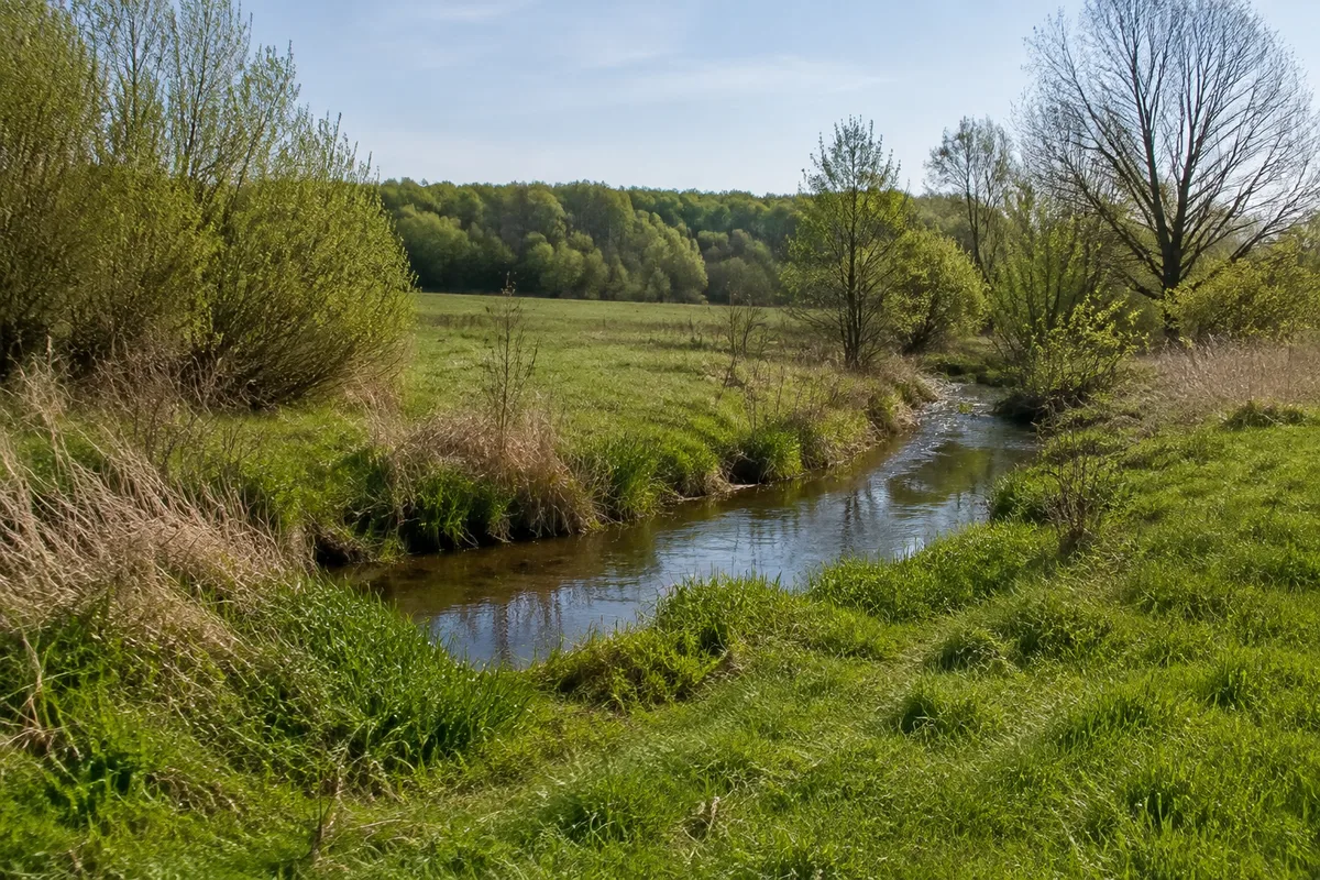Feuchte Wiesen und Gehölze im Lindetal am Rand Neubrandenburgs
