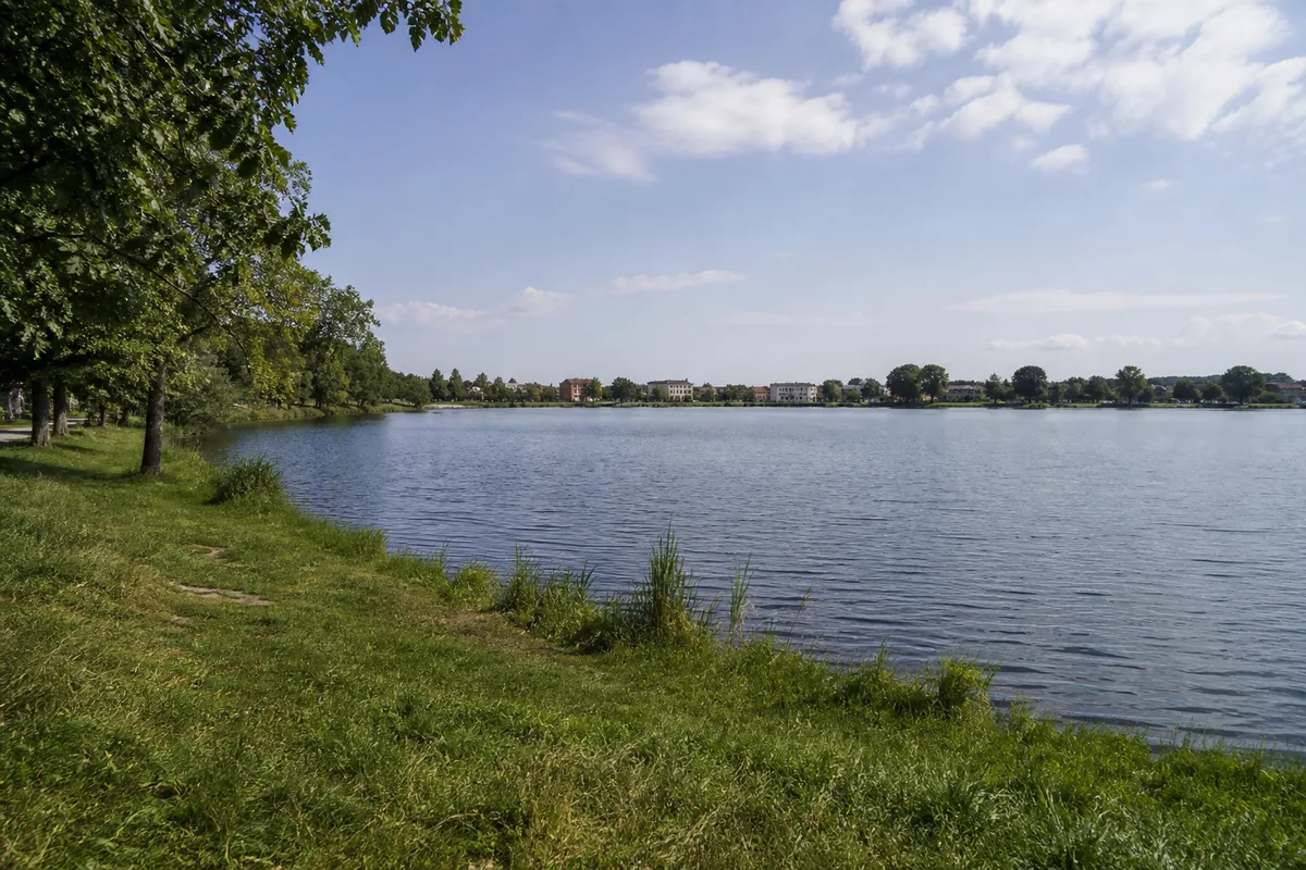Reitbahnsee mit grünem Ufer und niedriger städtischer Kulisse ohne markante Gebäude