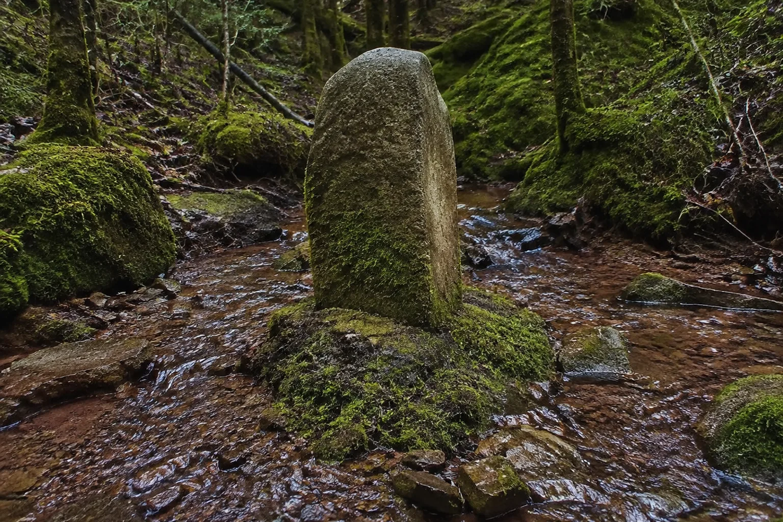 Dreistromstein: historischer Stein im moosigen Quellwald zwischen Bachläufen