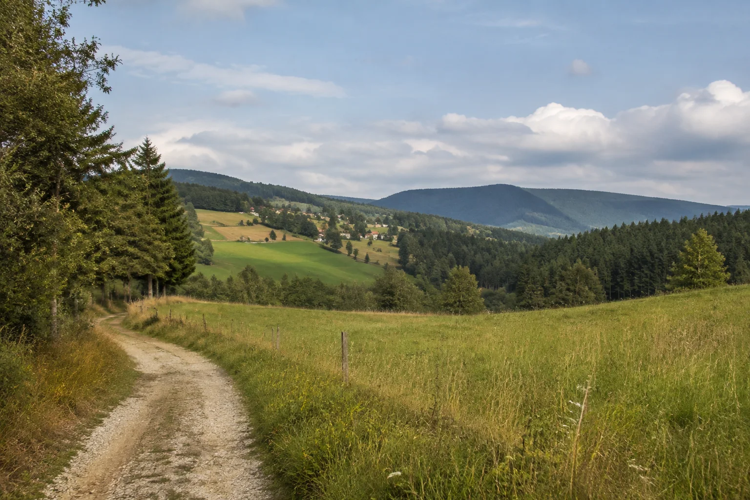Rittsteiger Wiesen: höher gelegene Rodungslandschaft mit verstreuten Höfen und dunklem Grenzwald, keine Hochalpen.