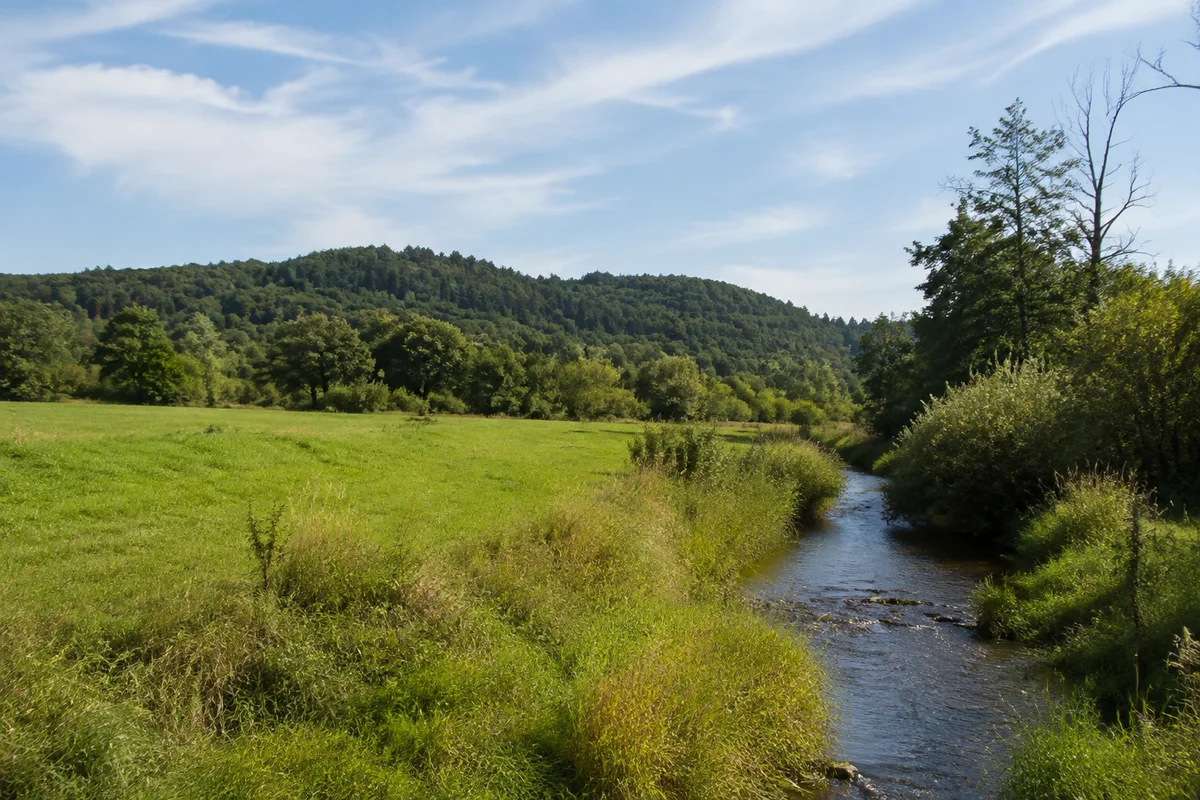 Ebene Wiesenlandschaft bei Woffenbach mit schmalem Bach, Ufergehölzen und niedrigem bewaldetem Hügelhorizont.