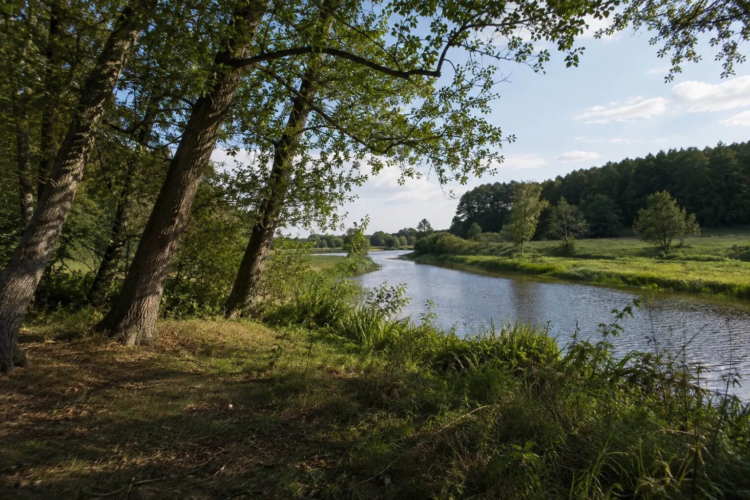 Molchower Landschaft: kleiner Rhinarm zwischen Erlen und Wiesen mit einem bewaldeten Seeufer dahinter