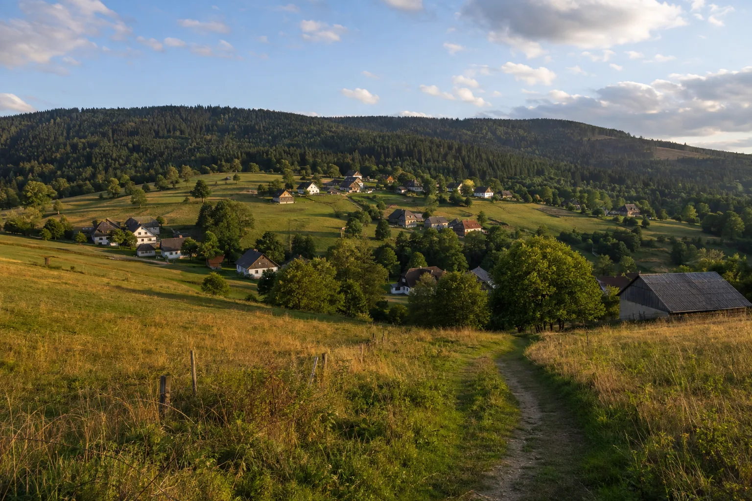 Waldhäuser: hoch gelegenes Dorf mit Wiesen und weitem Blick zum Grenzkamm