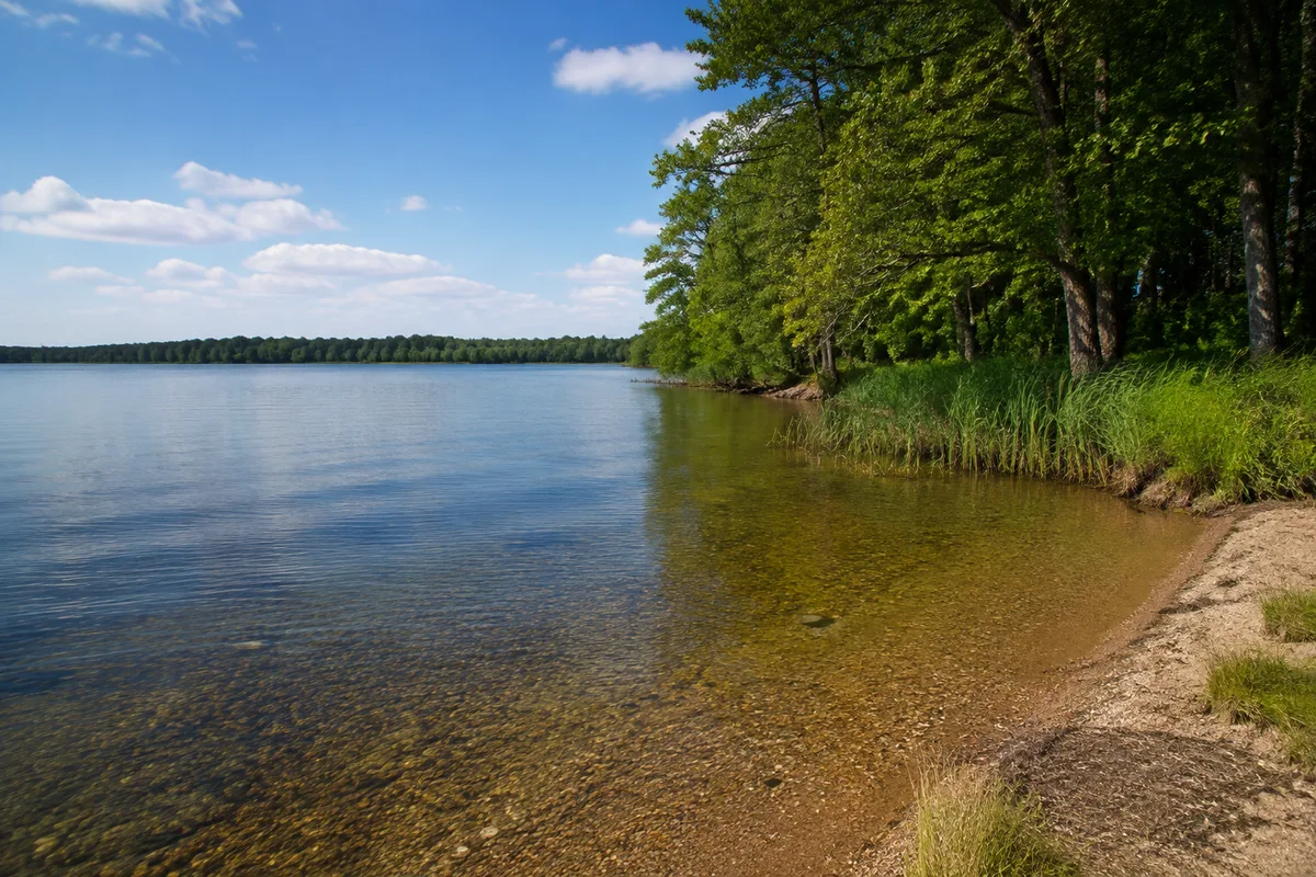 Klares Wasser am Großen Fürstenseer See mit bewaldetem Ufer