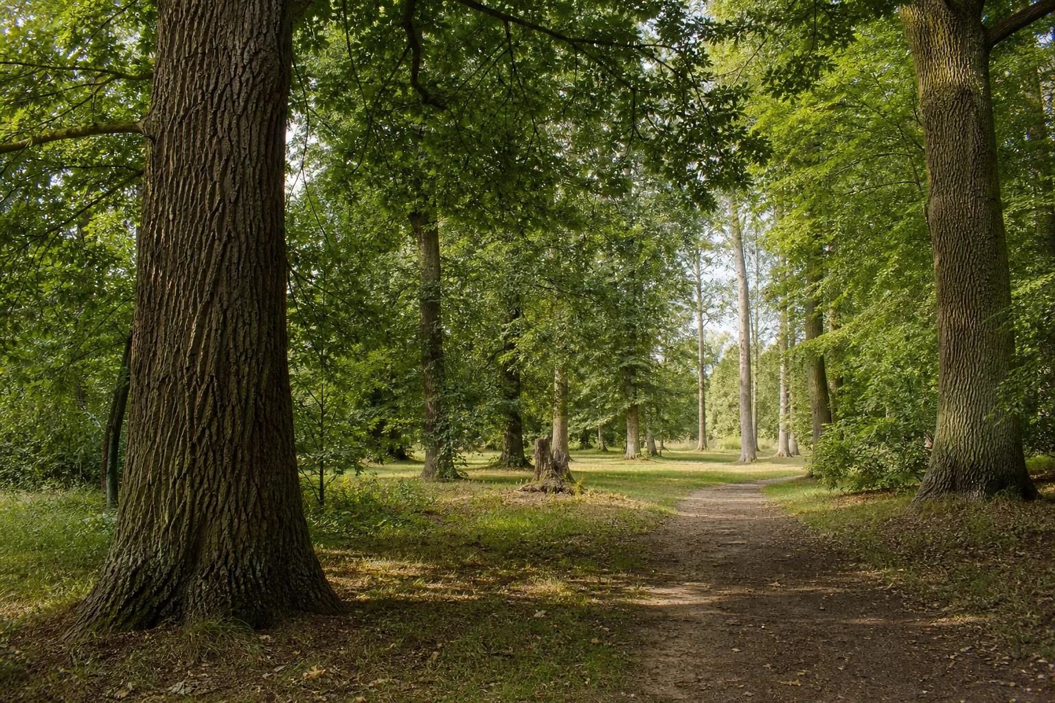 Bomsdorfer Park: Alter Baumbestand und dörfliche Parkwege im südlichen Gemeindegebiet