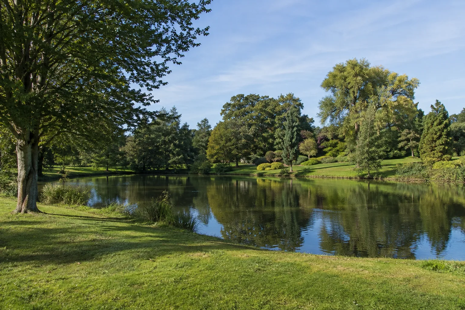 Neuzelle: Neuzelle: Klosterteich und Ort: Teichufer mit gepflegten Wiesen und altem Baumbestand im Klosterumfeld