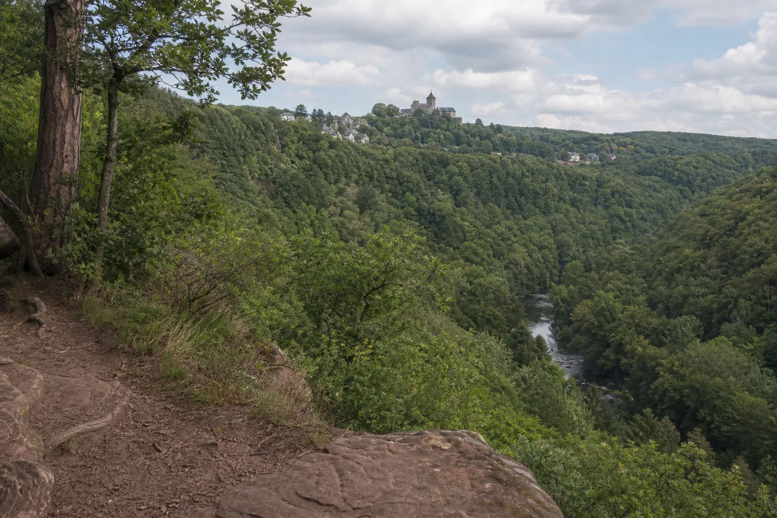 Blick vom Waldhang durch das Rurtal zur Burg Nideggen