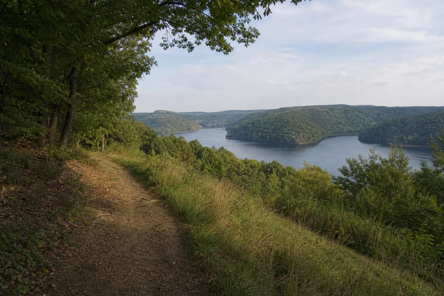 Waldweg mit Blick auf bewaldete Buchten des Rursees bei Schmidt