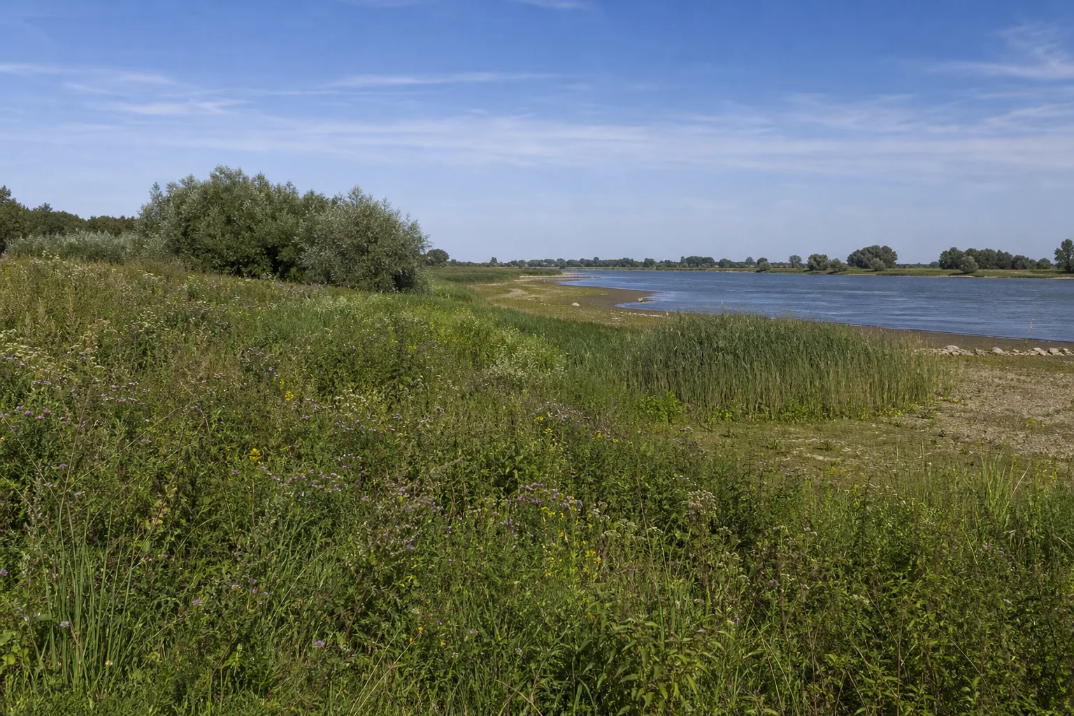 Lülsdorfer Weiden vom erlaubten Weg
