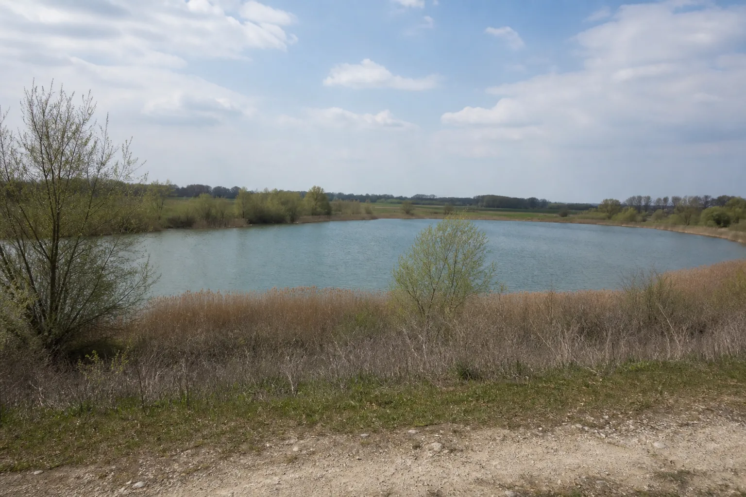 Kiessee und Sukzession bei Uckendorf