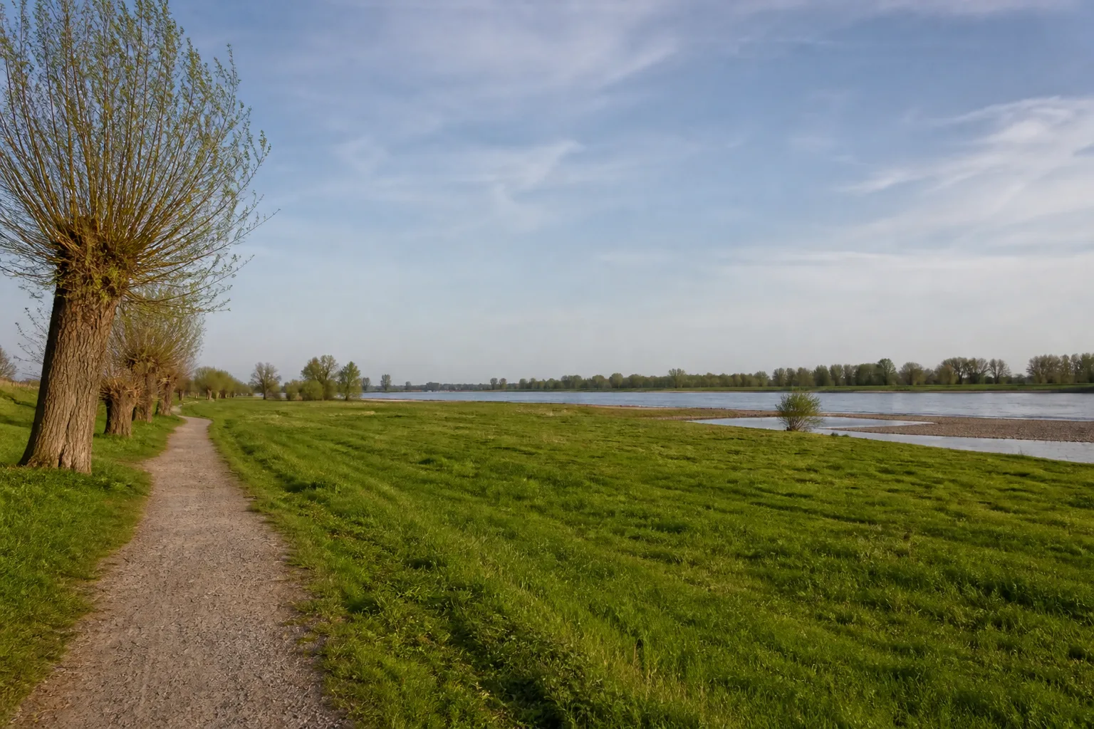 Niederkassel: Rheinaue beim Wandern in Niederkassel