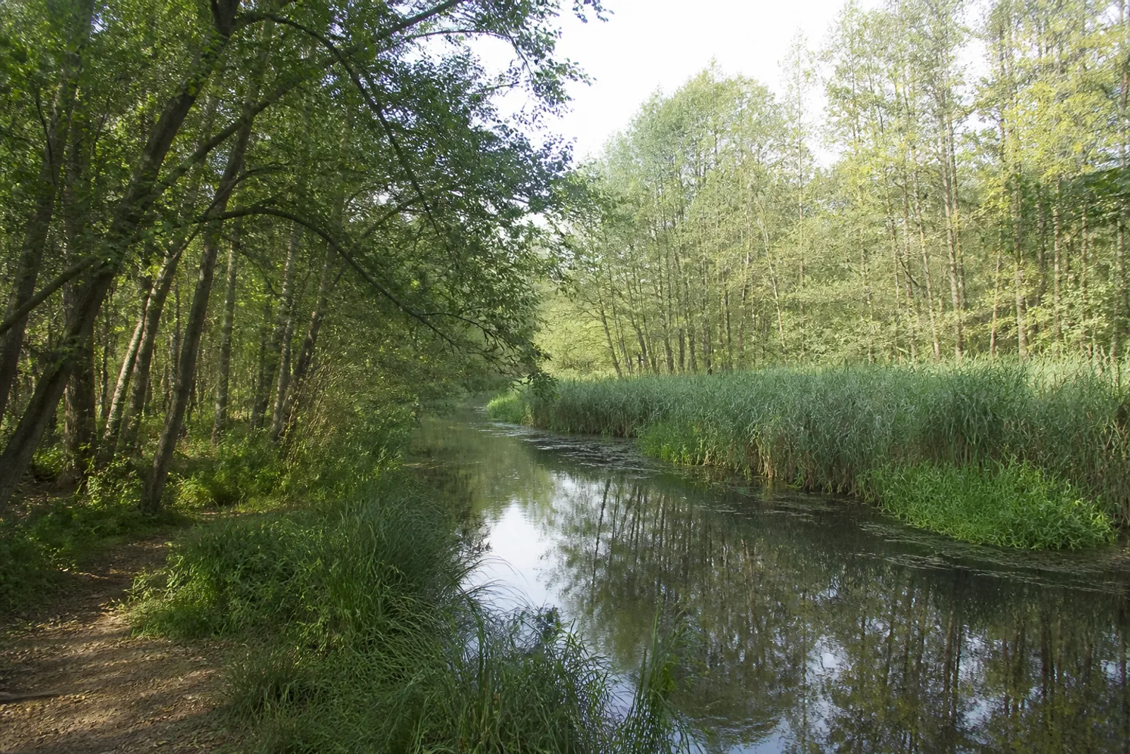 ruhiger Schwalmarm bei Overhetfeld
