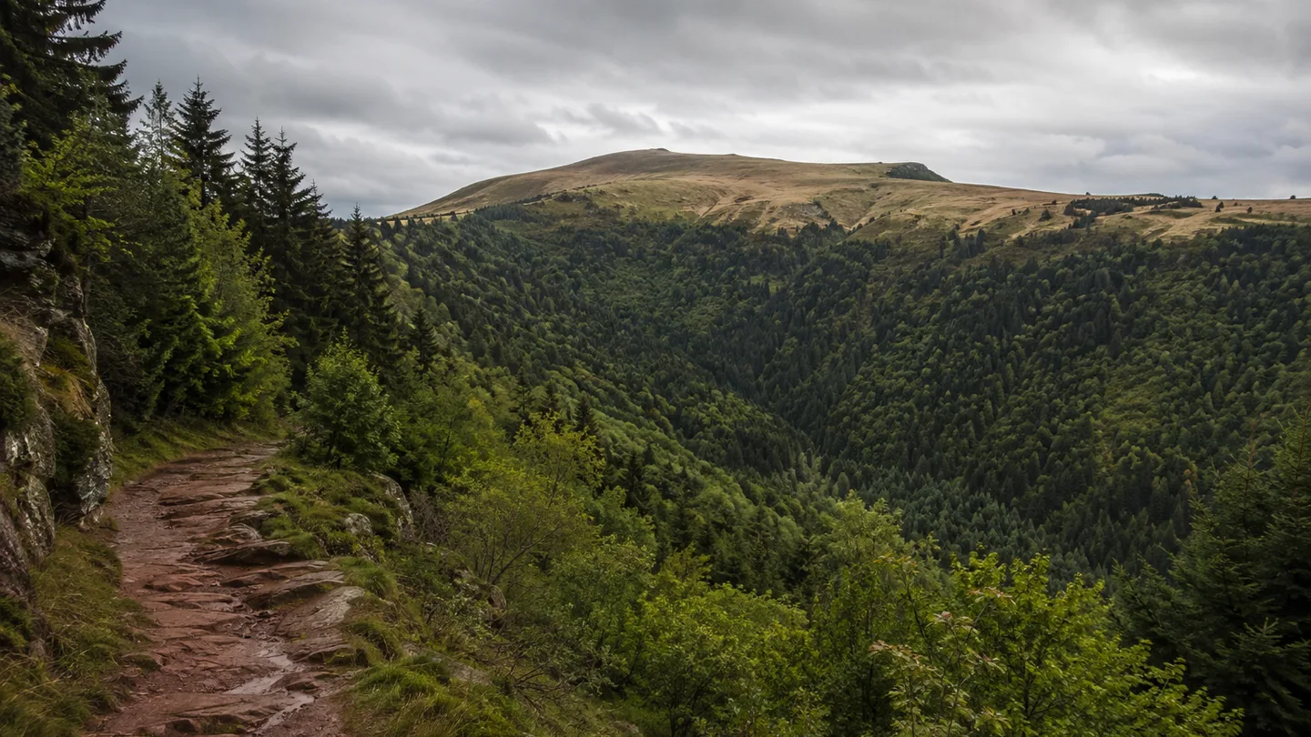 Nördlicher Schwarzwald: Ruhestein: Nordschwarzwald: dunkle Tannenwälder unter einer offenen Grindenhöhe