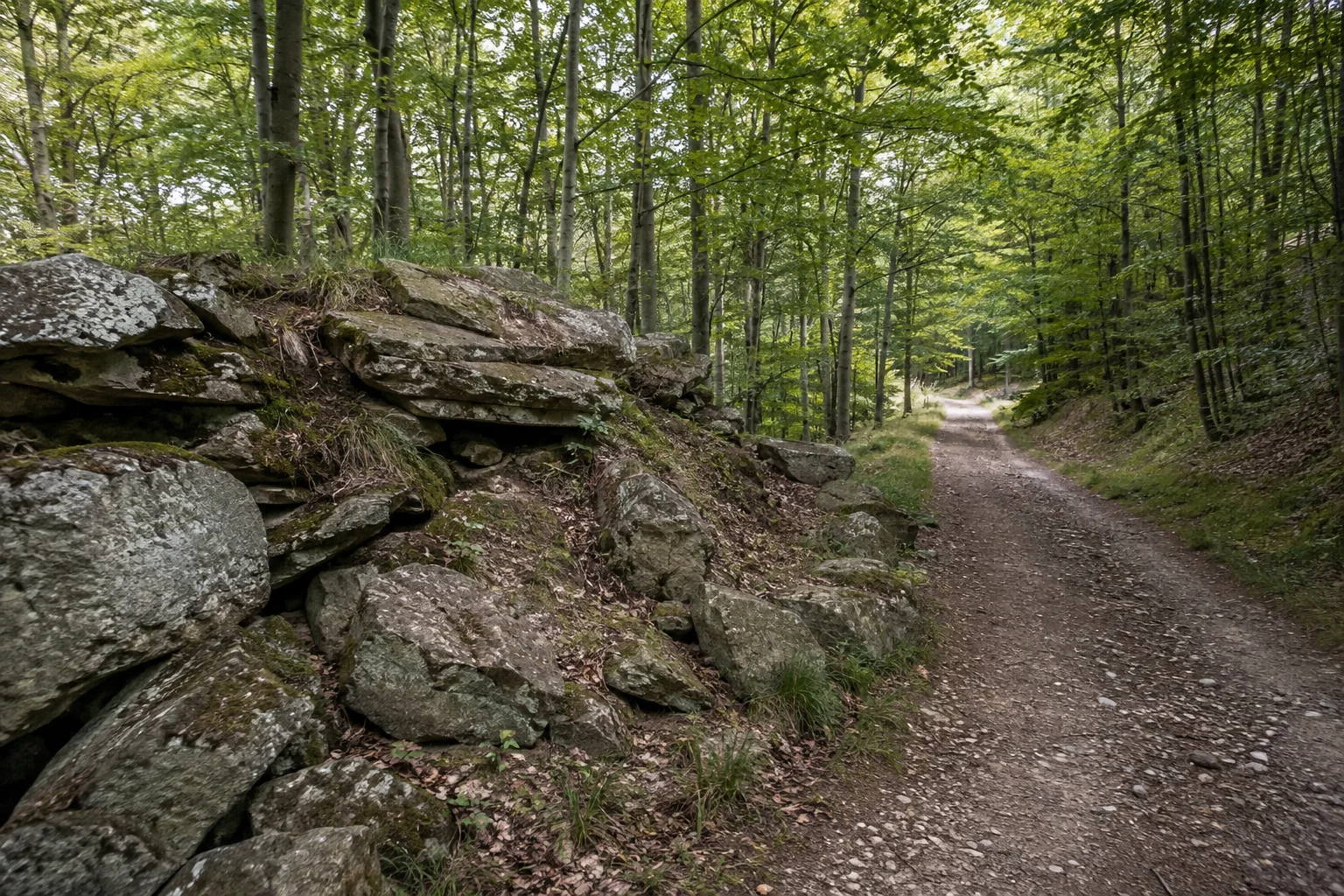 Wald bei Otzenhausen: Buchenwald mit grauen Quarzitblöcken neben einem normalen Wanderweg.
