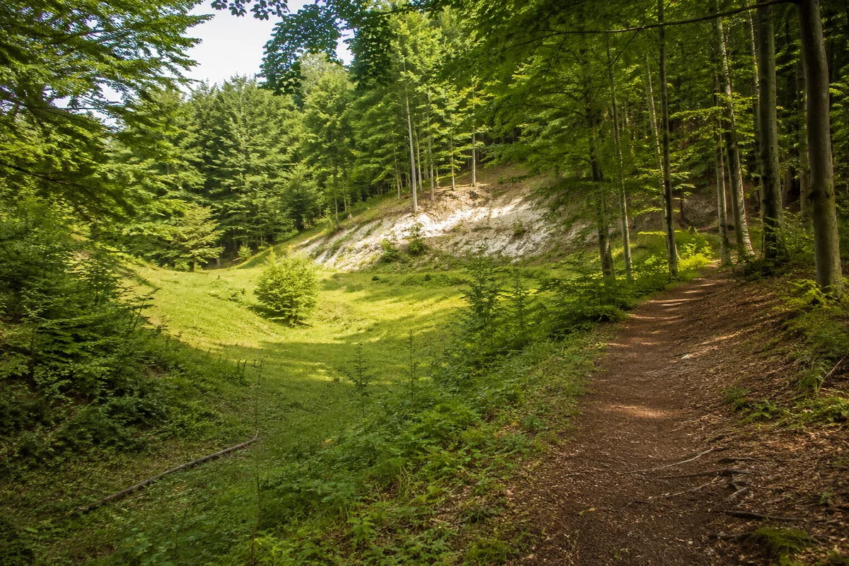 Nordhausen: Kleine grüne Karstmulden, helle Gipsbank und Buchenwald am Weg bei Rüdigsdorf nördlich Nordhausen