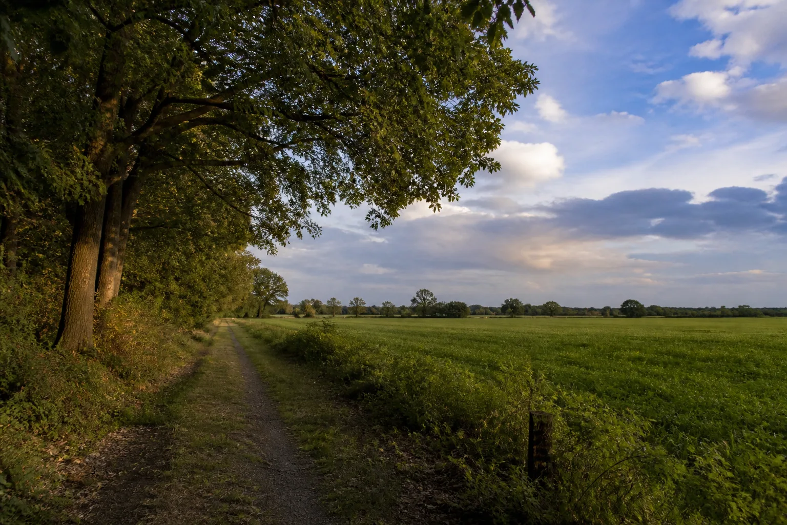 Nordwalde: Bispingwald