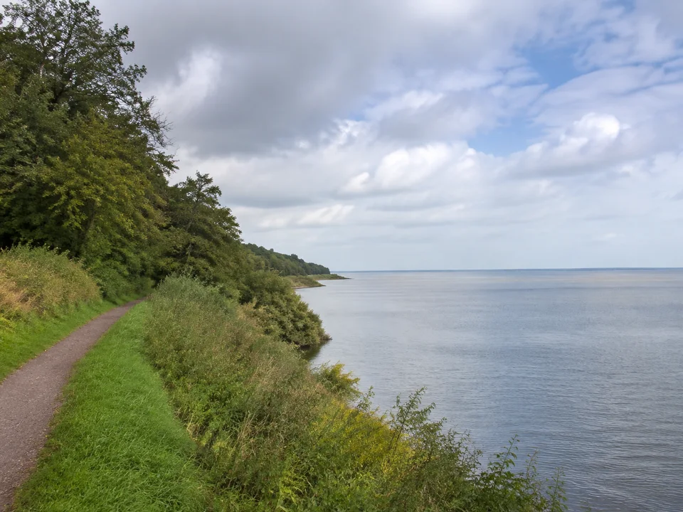 Nordseeküste Niedersachsen: Ruhiges graublaues Wasser am niedrigen bewaldeten Geestrand bei Dangast