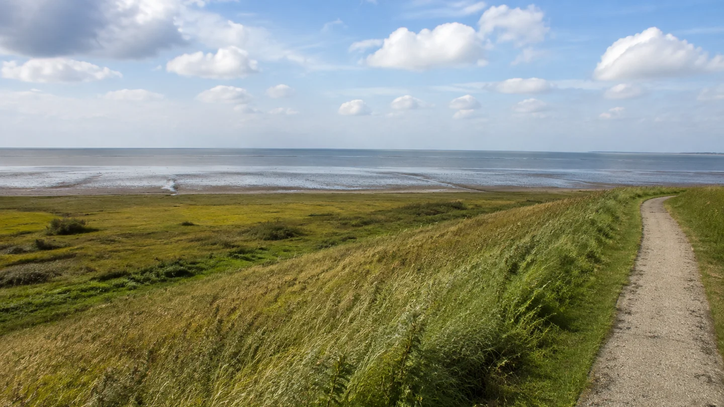 Nordseeküste Niedersachsen: KI-Visualisierung zur Startregion Norddeich, Blickpunkte am Dörper Weg – Breiter Blick über die flache Nordsee von einem grasbewachsenen Deich, offene Marsch und niedriger Horizont