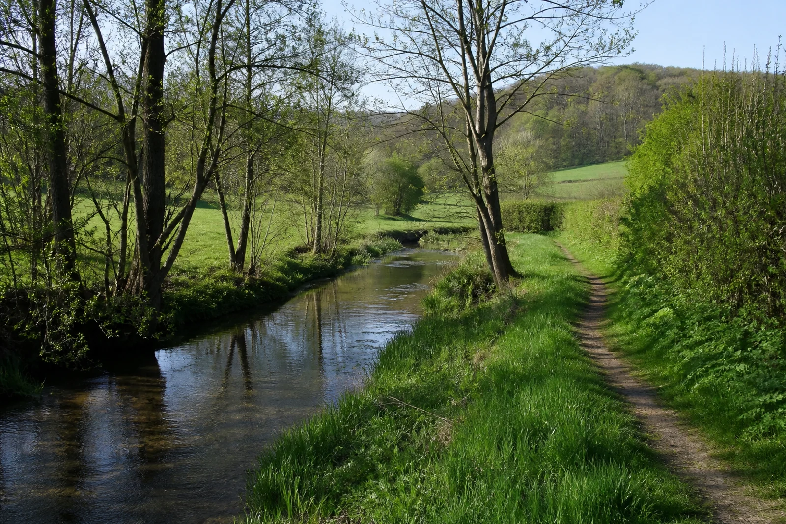 Quellnaher Weg im grünen Stevertal