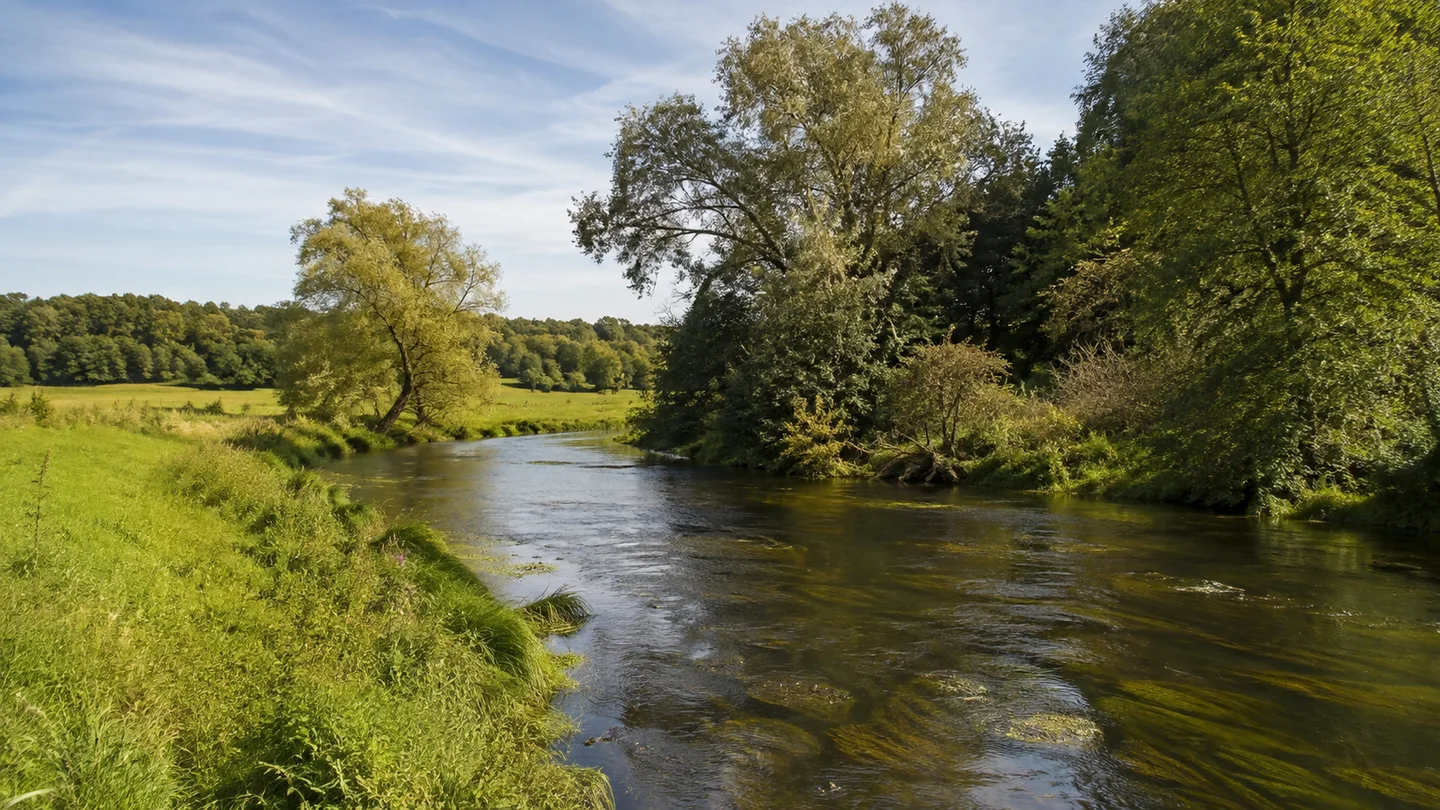 Nürnberg: Pegnitzaue bei Mögeldorf: Flache Pegnitzaue bei Mögeldorf mit schmalem Fluss, Weiden, Erlen und gemähten Wiesen; keine Stadtsilhouette.