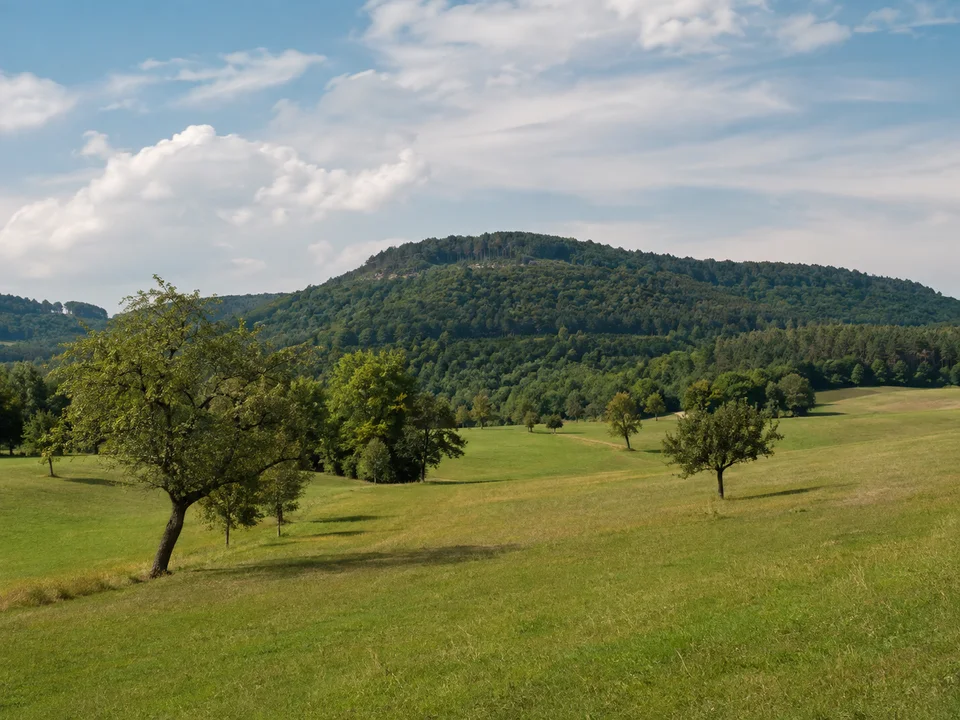 Schnaittachtal: Wiesen und einzelne Obstbäume im Schnaittachtal unter einem niedrigen bewaldeten Zeugenberg, keine Burg erfinden.