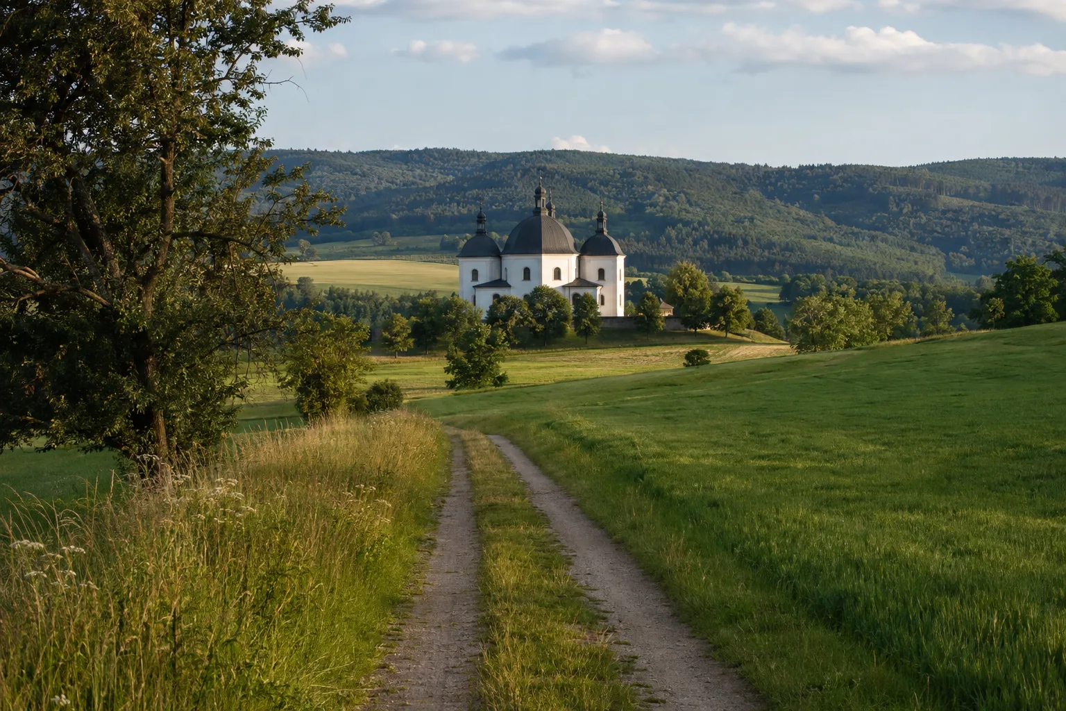 Kappl und Waldsassen: Feldweg zur barocken Kappl vor bewaldeten Höhen