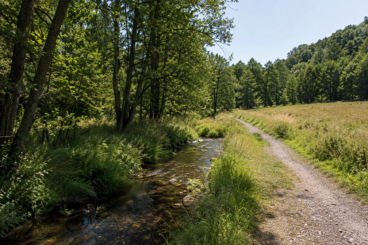 Sondernauer Bachland: kleiner Bach mit Erlen zwischen Wiesen und Laubwald, normaler Weg am trockenen Rand.
