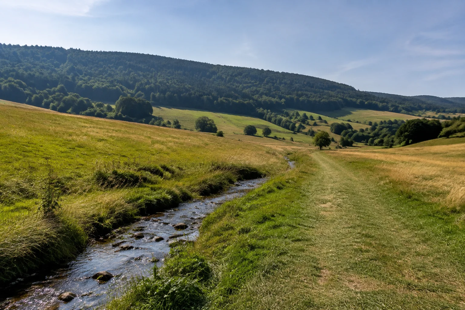 Oberelsbach: Oberelsbacher Rhönrand: breiter Wiesenweg an einem kleinen Bach, sanfte offene Hänge vor einem langen bewaldeten Höhenrücken.