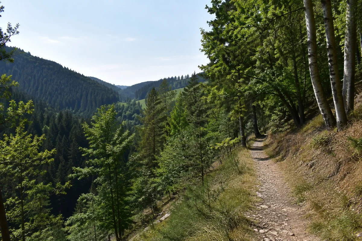 Hinterer Talraum mit verstreuten Höfen und steileren Waldaufstiegen.
