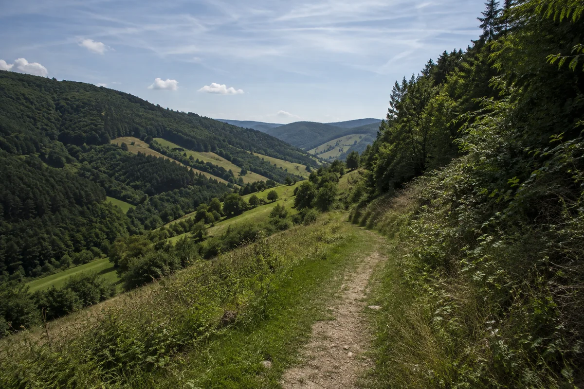 Eigenständiges Seitental mit Wiesenstreifen und bäuerlichen Hanglagen.