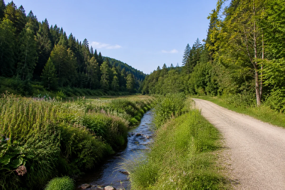 Schmaler Bach in grünem Wiesental bei Trautenstein, Mischwaldhänge und breiter Weg