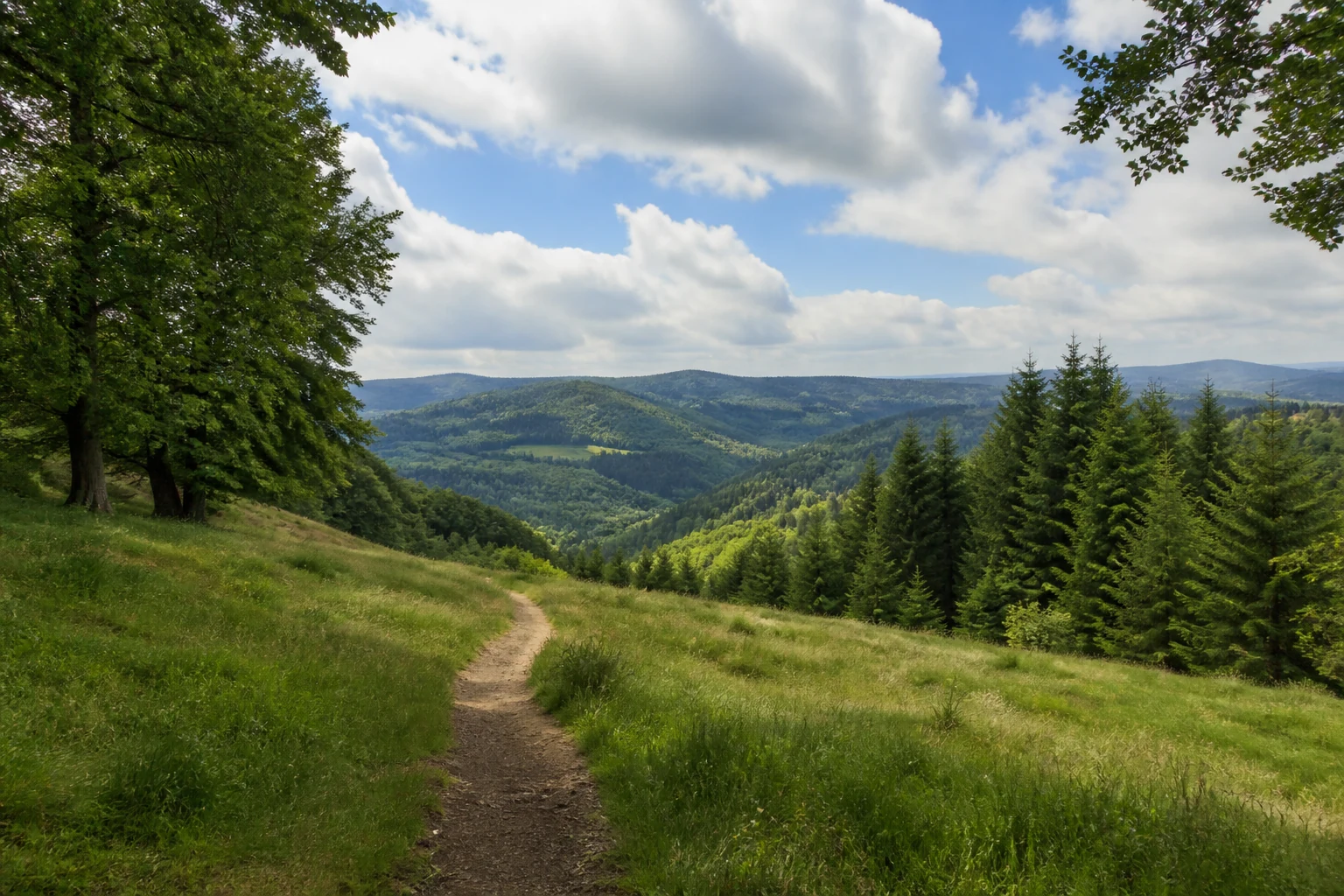 Almert und Vorwald bei Oberkirchen