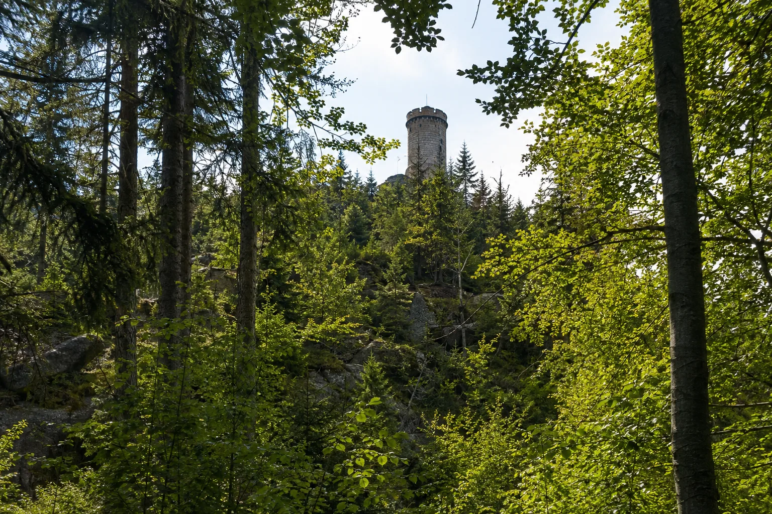 Valtenberg: bewaldete Granitkuppe mit Aussichtsturm