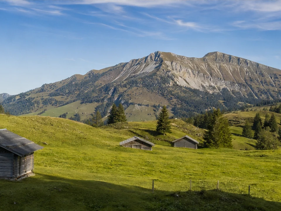 Steibis: Alpweiden und Hütten unter dem Hochgrat
