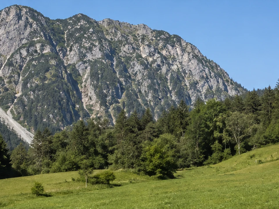 Reichenbach: Wald- und Wiesenrand unter dem Rubihorn