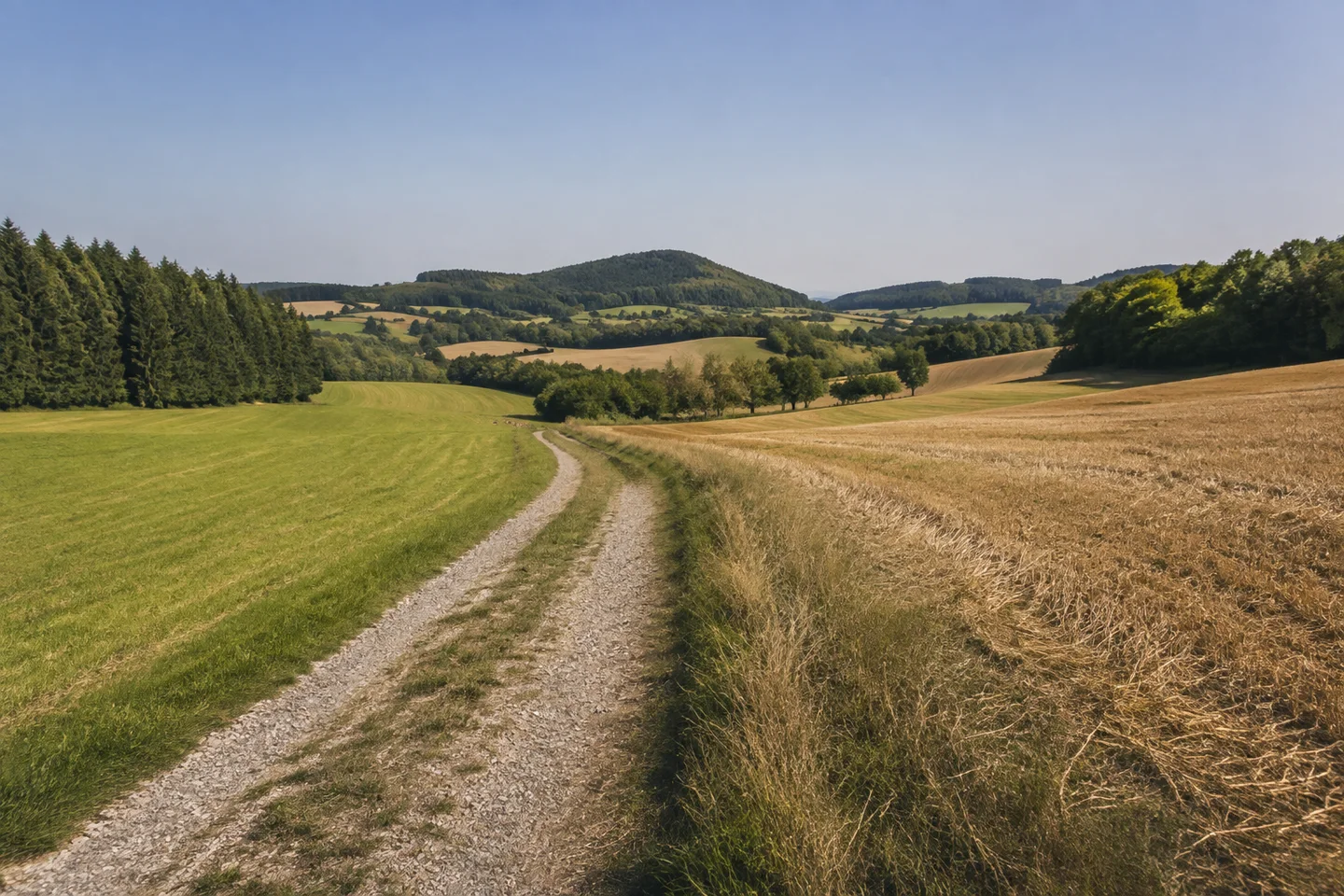 Offene Jurafluren bei Geschwand, kleiner Schotterweg zwischen gemähter Wiese und Stoppelfeld, Waldränder und niedrige gerundete Hügel.
