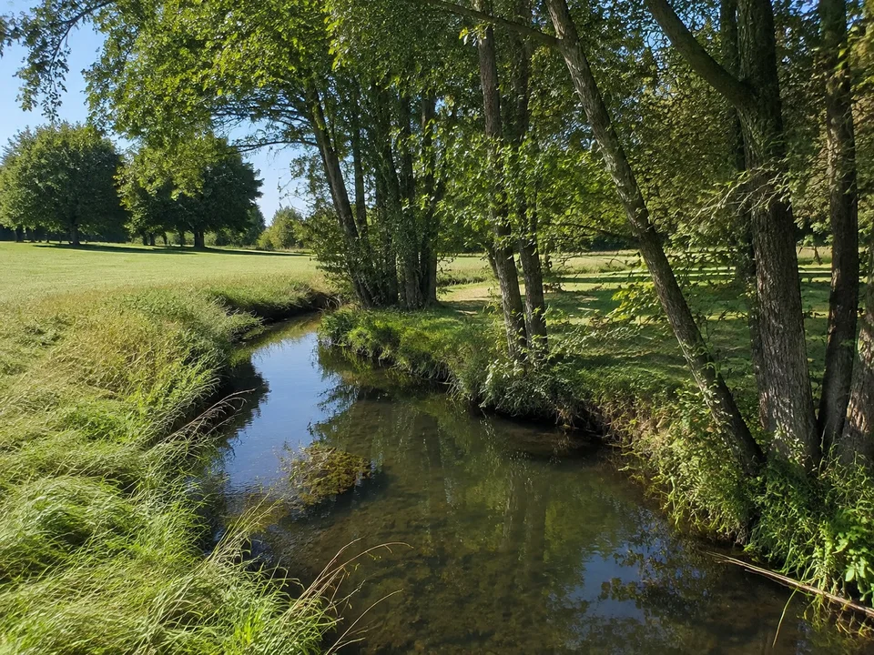 Urselbach bei Weißkirchen: Kleiner Bach mit Erlen und Wiesen an flachem Feldrand ohne Berge im Vordergrund