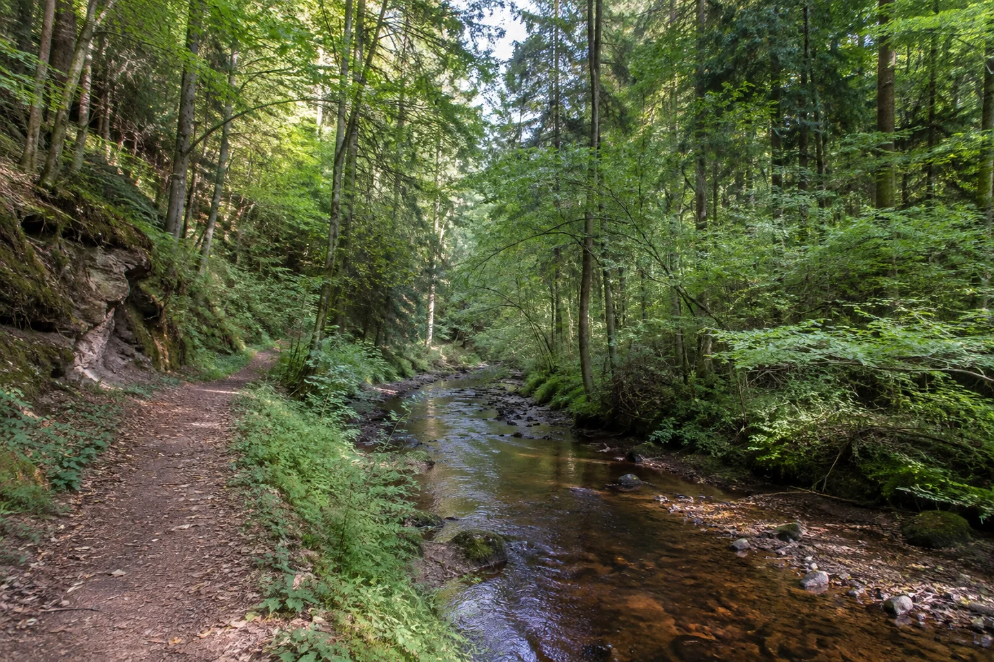Enges grünes Tal bei Schöllenbach mit schmalem Bach und Ufergehölz, unbefestigter Weg und dichten Mischwäldern an Buntsandsteinhängen.