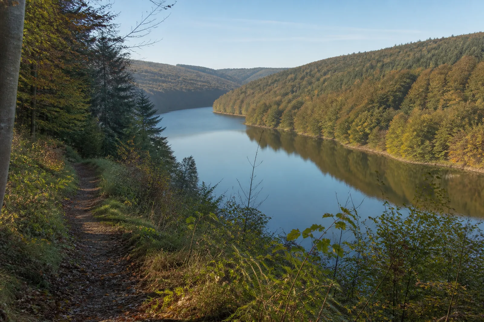 Waldweg an der Großen Dhünntalsperre