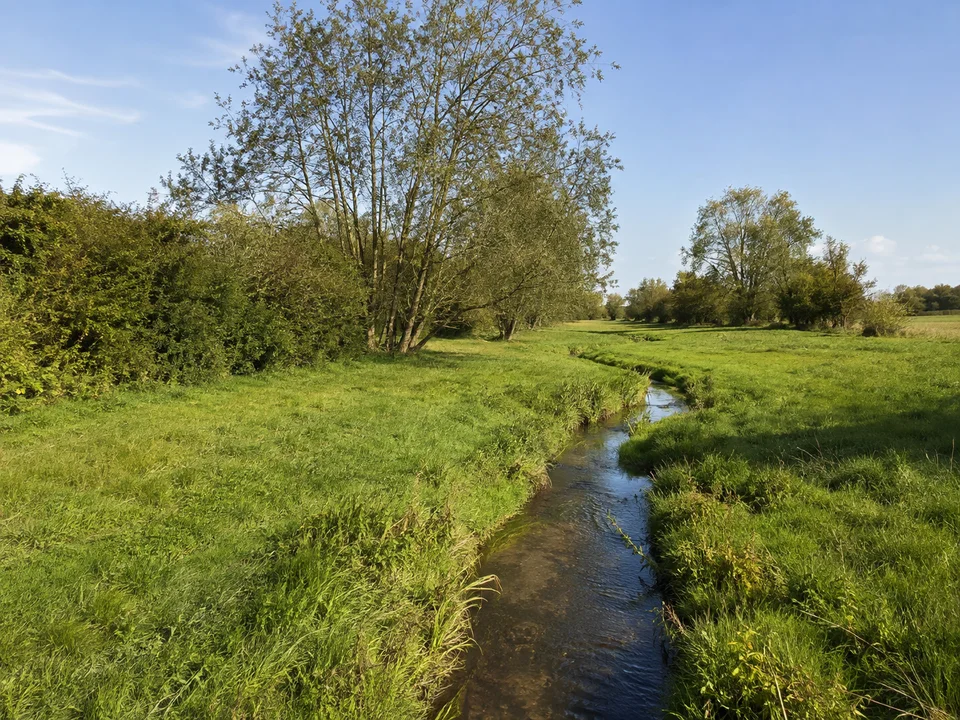 Biebergrund: Kleiner Bach in flacher grüner Wiesenlandschaft mit Erlen und Feldhecken