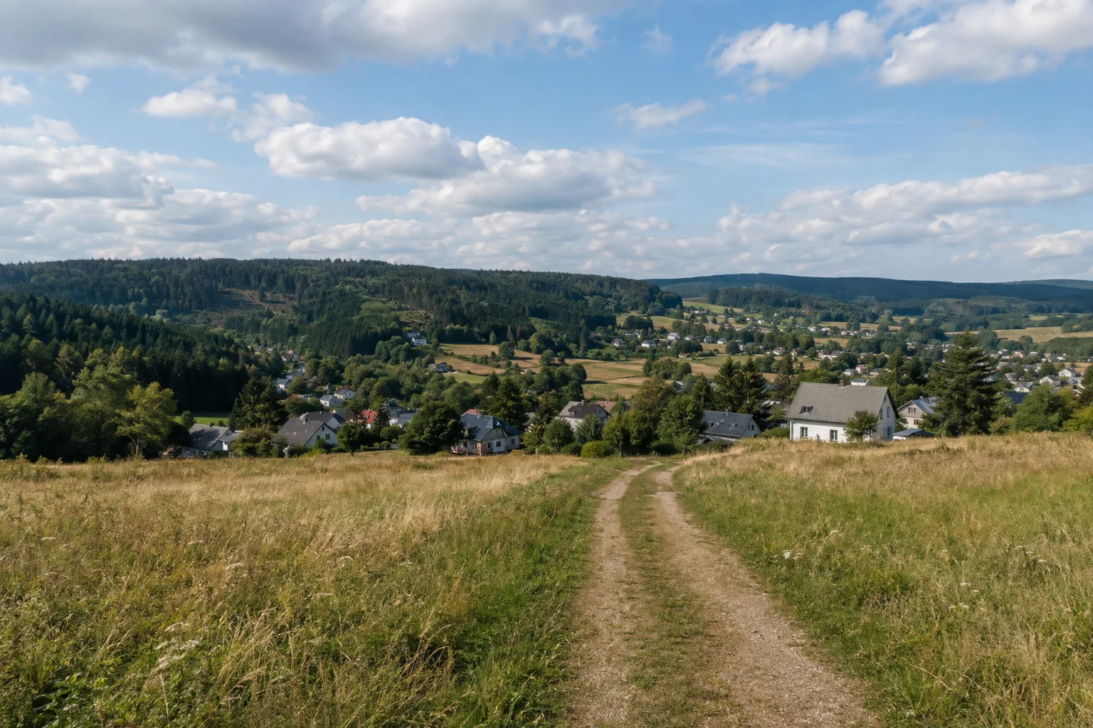 Pfaffrodaer Höhen: offener Wiesenweg mit verstreuten Dorfhäusern und dunklem Waldhorizont