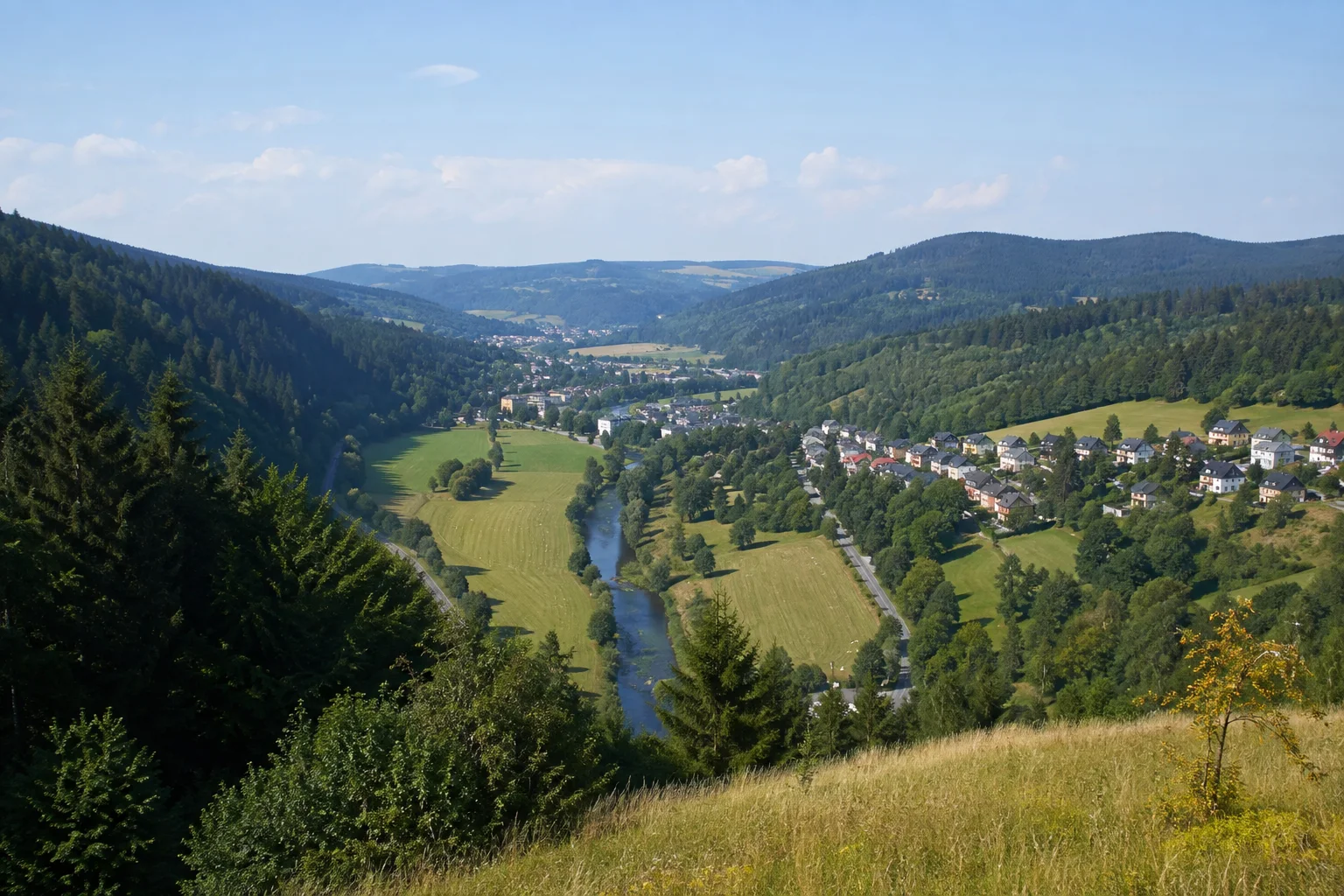Olbernhau: Olbernhauer Flöhatal: schmaler Fluss in einer langgestreckten grünen Talsohle zwischen dicht bewaldeten Rücken