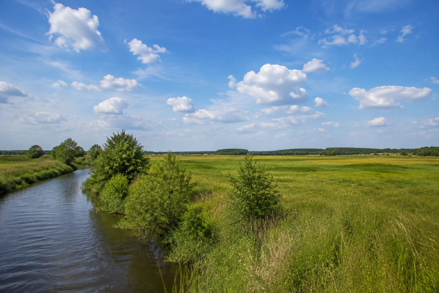 Hasewiesen bei Löningen mit kleinen Ufergehölzen und weitem Himmel