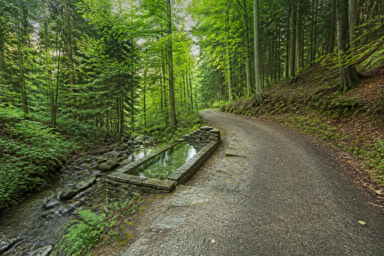 Kneippbecken an einem Waldweg in Olsberg