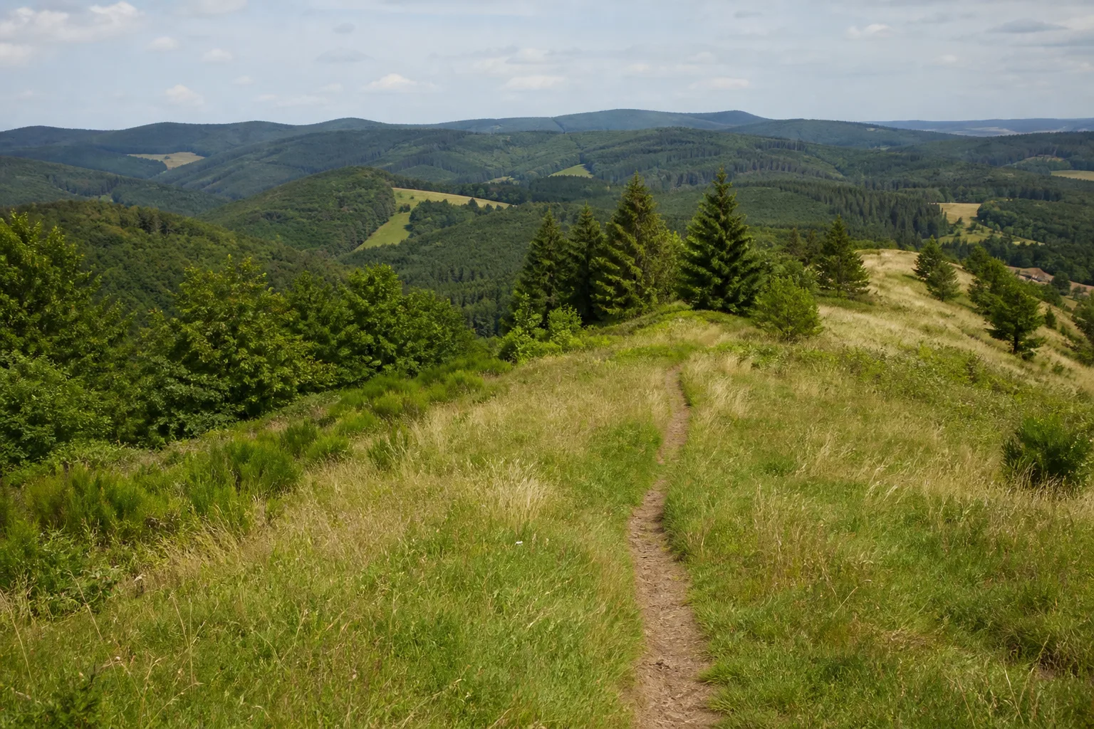 Aussichtsreicher Höhenpfad auf dem Rothaarsteig bei Olsberg