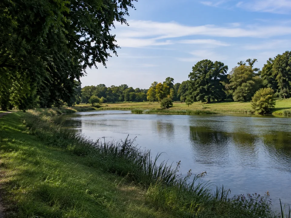 Wörlitzer Wasserlandschaft: Ruhige Wasserfläche in flachem englischen Landschaftspark mit weiten Wiesen und alten Bäumen ohne Bauwerke