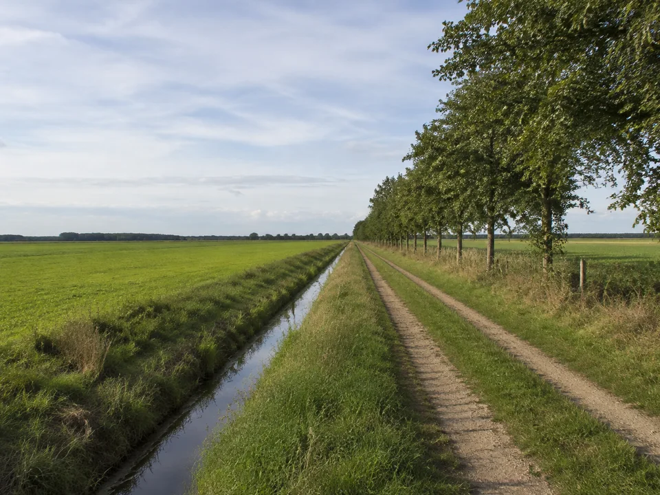 Feldwege bei Horstdorf: Ebenes Acker- und Wiesenland mit geradem Entwässerungsgraben und einer Baumreihe