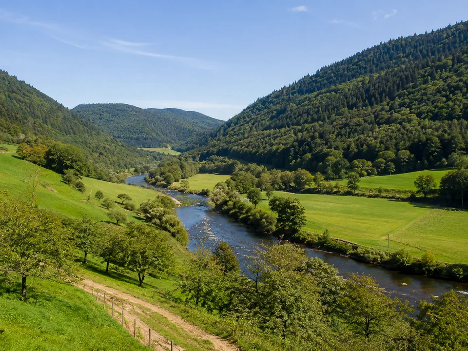 Kinzigtal bei Gengenbach: Breites grünes Flusstal mit Kinzig, Wiesen und rundlichen bewaldeten Hängen ohne erfundene Altstadt